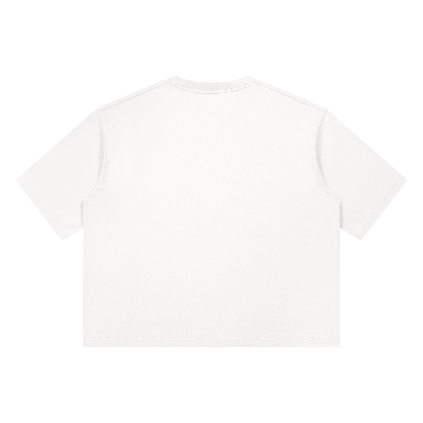 Heavyweight Boxy Graphic T-Shirt — FUN-HAVER Design | Eaton Brothers